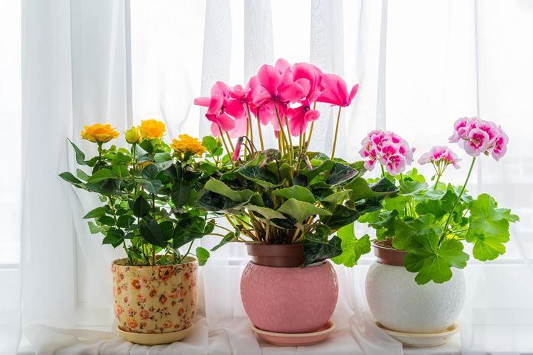 Est-il possible de garder des fleurs artificielles à la maison : signes et bon sens