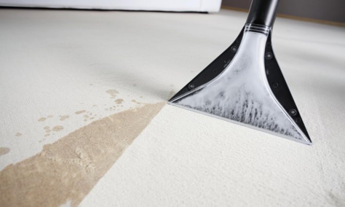 Test de l'aspirateur silencieux Tefal Silence Force TW8370RA : silencieux et fonctionnel - ne veut pas dire cher