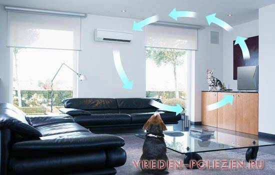 Qu'est-ce que l'ionisation de l'air : les inconvénients et les avantages de l'utilisation d'un ioniseur + comment choisir le bon