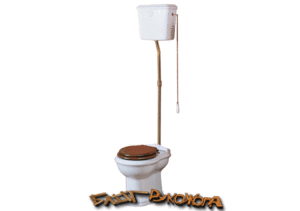 Instructions d'installation des toilettes