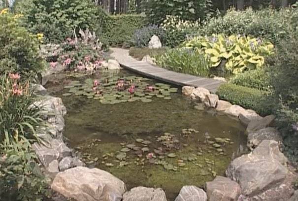 Comment créer un étang de vos propres mains: instructions pour créer et entretenir un étang sur un terrain personnel