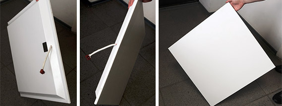 Examen des radiateurs infrarouges "Pivoine"