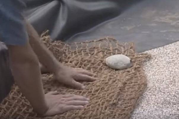 Comment créer un étang de vos propres mains: instructions pour créer et entretenir un étang sur un terrain personnel