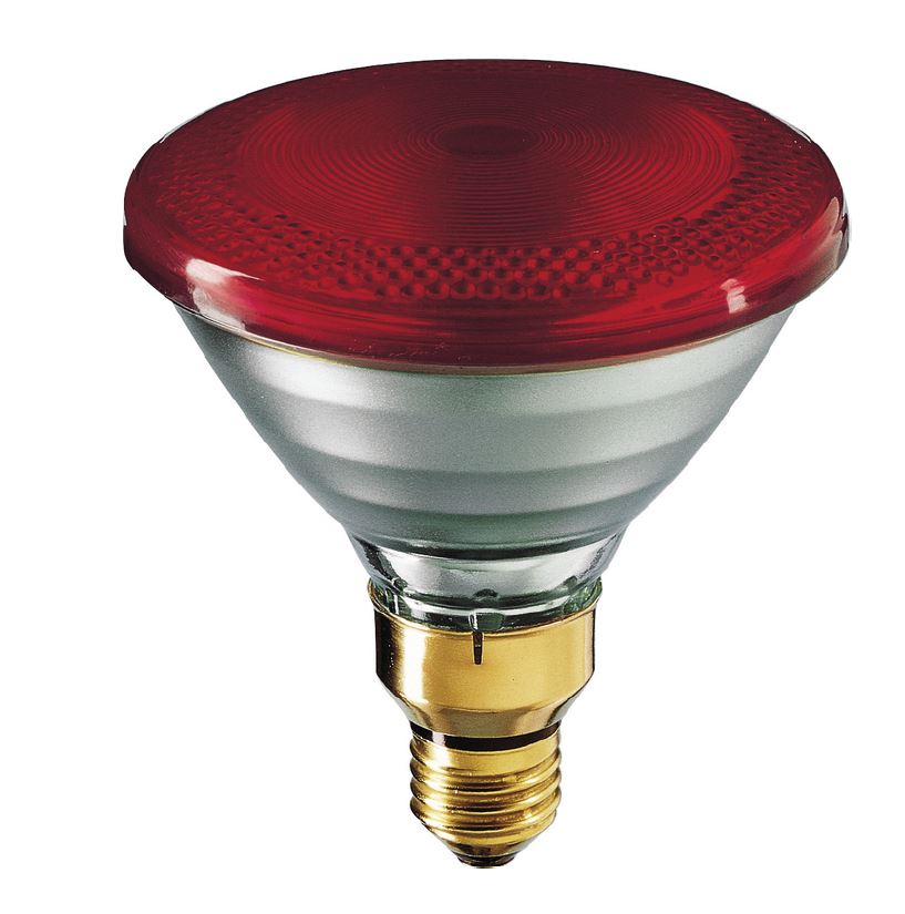 Quelles lampes infrarouges pour le chauffage des locaux est préférable de choisir