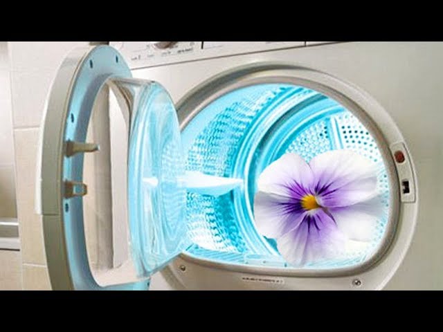 Odeur désagréable dans la machine à laver: causes de l'odeur et comment l'éliminer