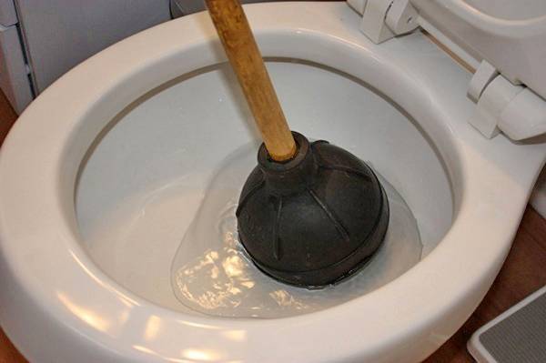 Pourquoi il y a une odeur d'égout dans la salle de bain et comment l'éliminer