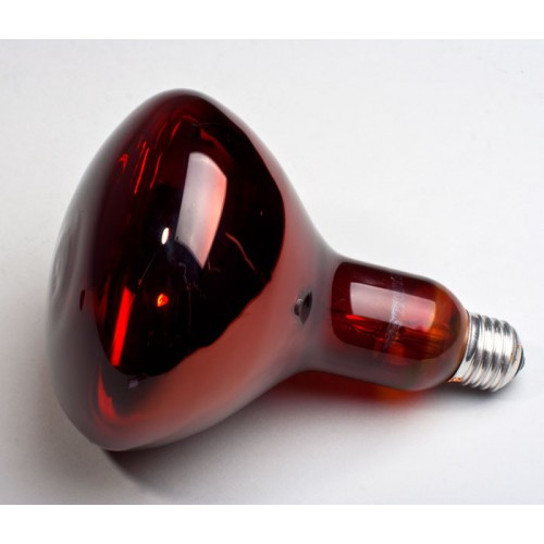 Lampes infrarouges pour le chauffage : chauffage IR et thermique pour locaux d'habitation