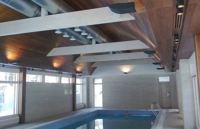 Ventilation de la piscine: caractéristiques de l'appareil dans les locaux