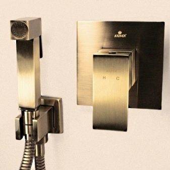 Accessoire de bidet pour les toilettes: un aperçu des types d'accessoires de bidet et des méthodes d'installation