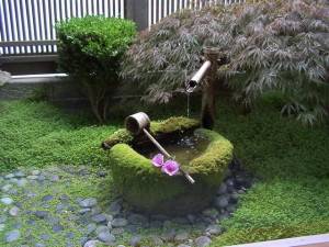 Bien ou bien - qu'est-ce qui est le mieux? Examen comparatif détaillé