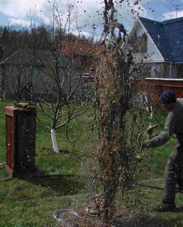 Comment sortir la pompe du puits si elle est coincée : premiers secours de professionnels