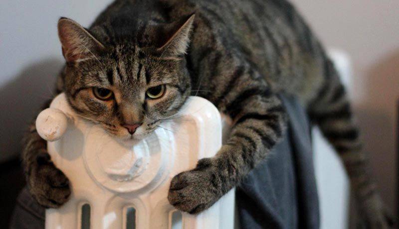 Quelle batterie de chauffage vaut-il mieux acheter pour un immeuble à appartements?