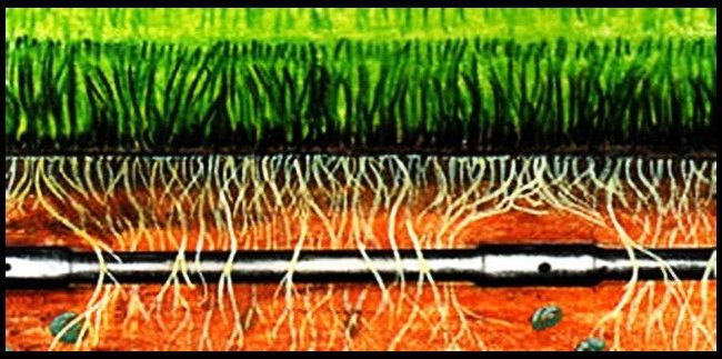 Conditions de serre: comment installer de vos propres mains un système d'irrigation automatique dans une serre