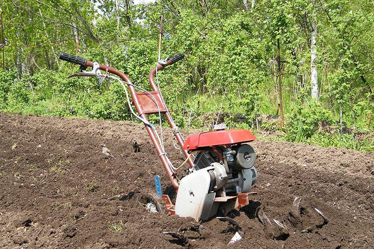 Fosse septique "Mole" - un dispositif structurel et analyse des avantages de ce modèle