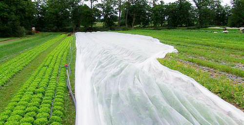 Comment fabriquer un filtre à eau de vos propres mains: un aperçu des produits maison populaires