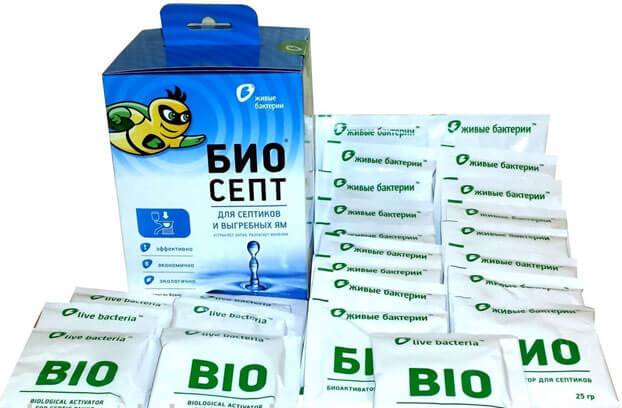 Bioactivateurs pour puisards : comment choisir et appliquer