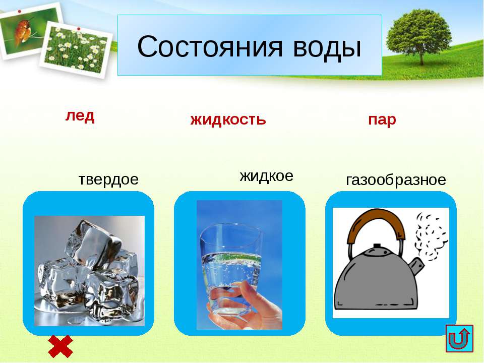 Comment fabriquer du biocarburant de vos propres mains à partir de fumier à la maison