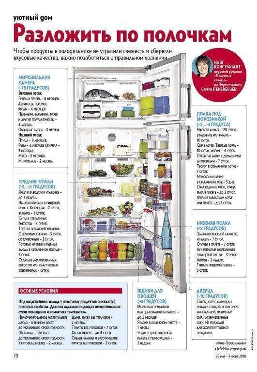 Température optimale dans le réfrigérateur et le congélateur : la répartition des zones froides
