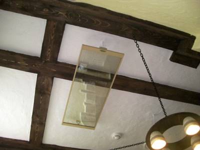 Examen des radiateurs infrarouges "Pivoine"