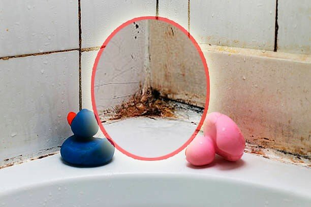 Comment éliminer le champignon dans la salle de bain: moyens et méthodes de lutte efficaces