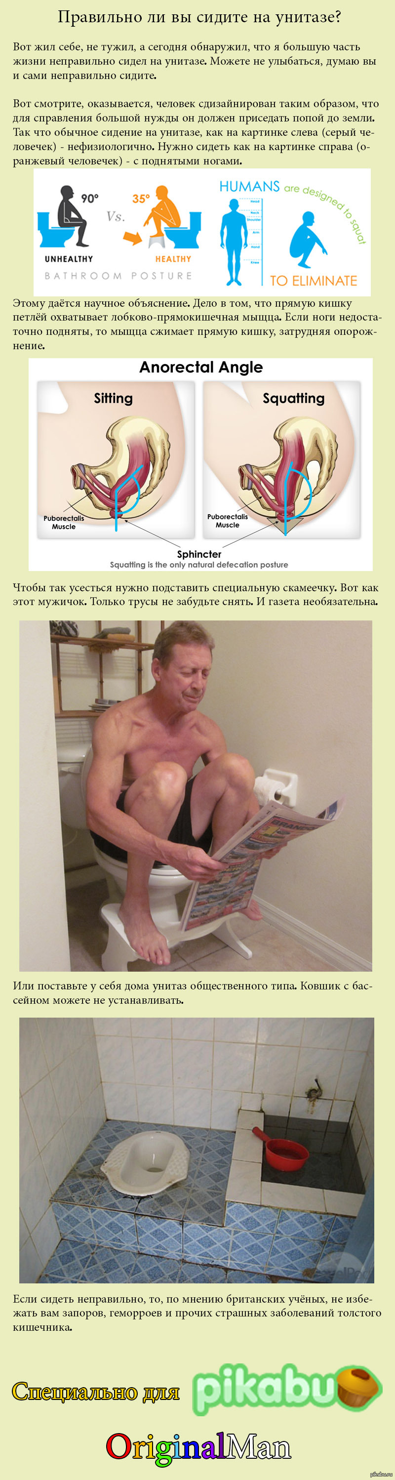 Pourquoi ne pouvez-vous pas vous asseoir longtemps sur les toilettes ?