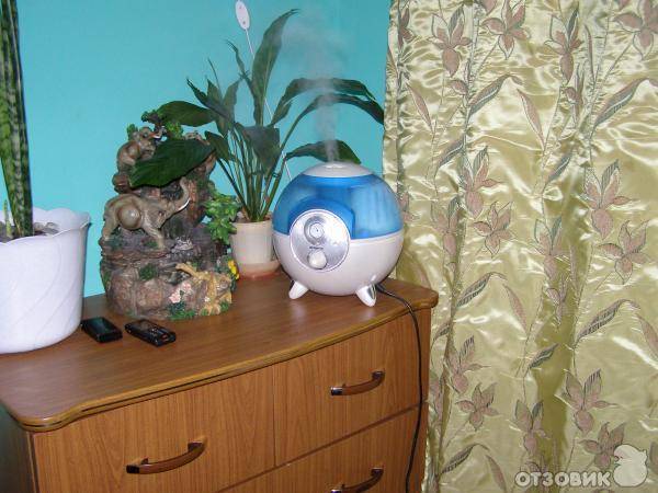 Humidification de l'air de la pièce avec des moyens improvisés (sans humidificateur)