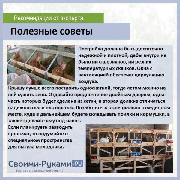 Comment faire de la ventilation dans une grange pour animaux: exigences et nuances de l'organisation de la ventilation