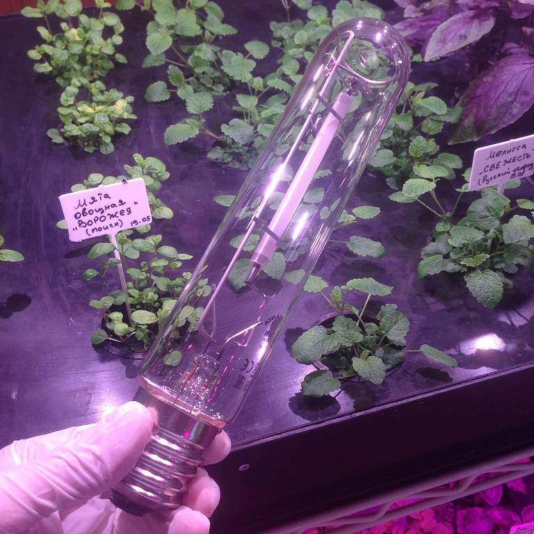 Quelles sont les meilleures ampoules pour la maison : quelles sont + les règles pour choisir la meilleure ampoule