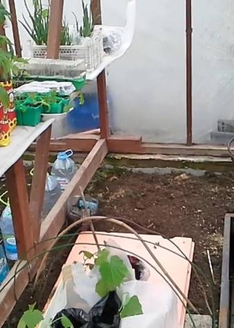 Chauffage des serres et des vérandas : aperçu de 5 options de chauffage différentes