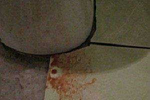 Comment installer une toilette sur un carrelage: un aperçu des meilleures façons et des nuances techniques