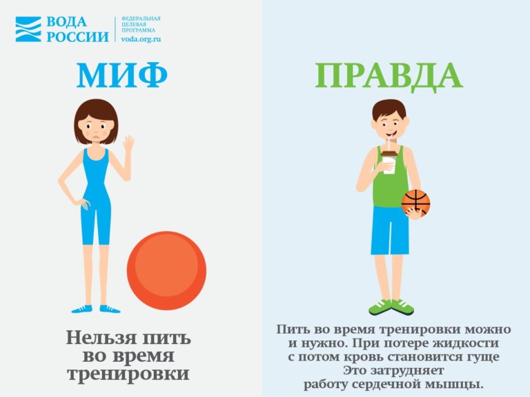 Est-il utile de boire du lait et lequel - zozhnik