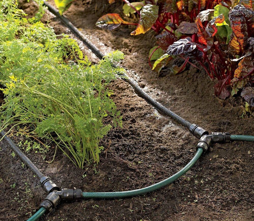 Tuyau pour irrigation goutte à goutte: sur quoi se concentrer lors du choix + règles pour travailler avec
