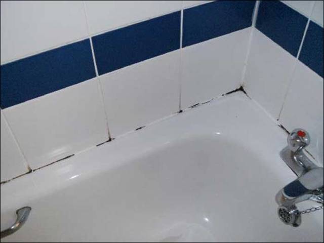 Qu'est-ce que la moisissure noire dangereuse dans la maison pour le corps humain et comment s'en débarrasser