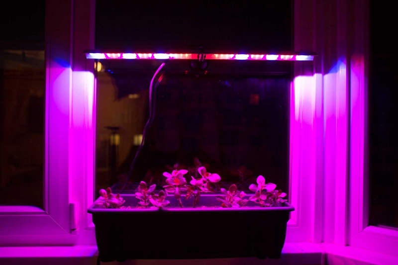 Lampes à induction : appareil, types, champ d'application + règles de sélection