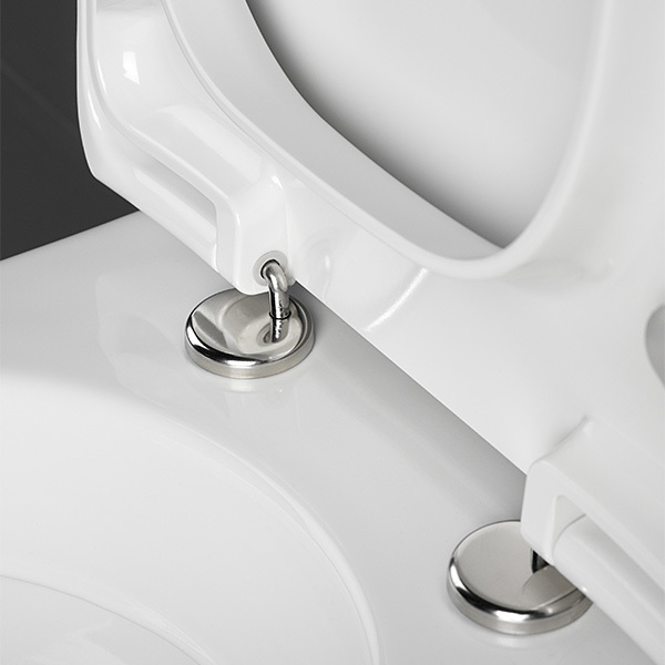 Installer un couvercle de toilette de vos propres mains, comment choisir le bon couvercle