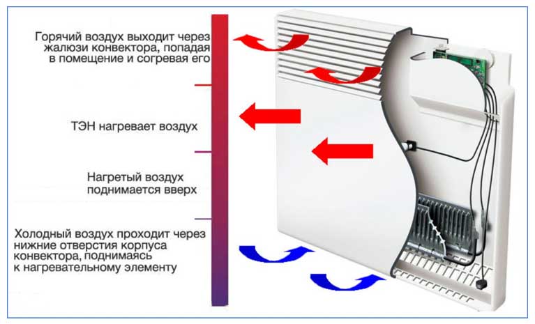 Convecteurs électriques (44 photos): un aperçu des convecteurs électriques à économie d'énergie avec thermostat pour chalets d'été, socle, muraux et encastrés