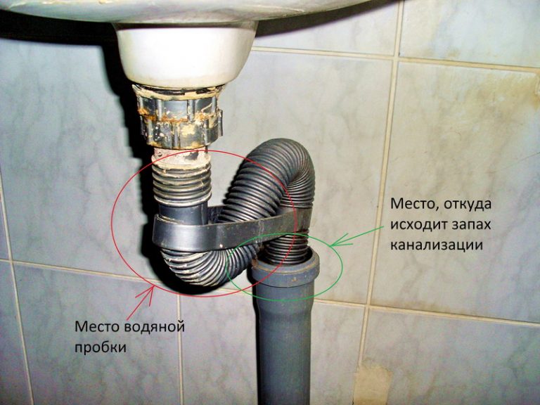 La cabine de douche sent les égouts, que faire et pourquoi ça pue sous la douche ?