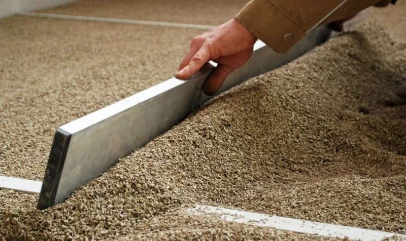 Isolation du sol dans une maison en bois: procédure de travail + appareils de chauffage populaires