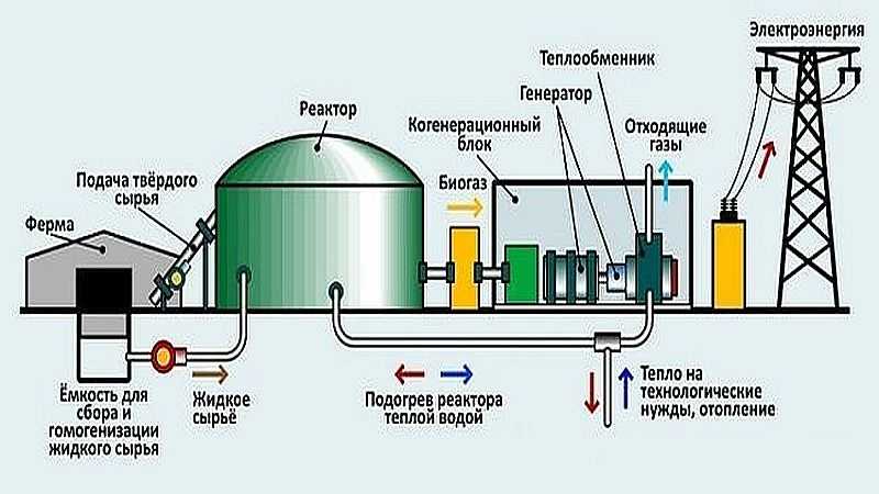 Comment fabriquer du biocarburant de vos propres mains à partir de fumier à la maison