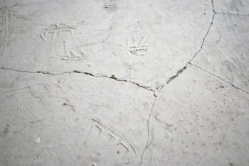 13 façons de résoudre des problèmes mineurs dans votre maison avec un serre-câble