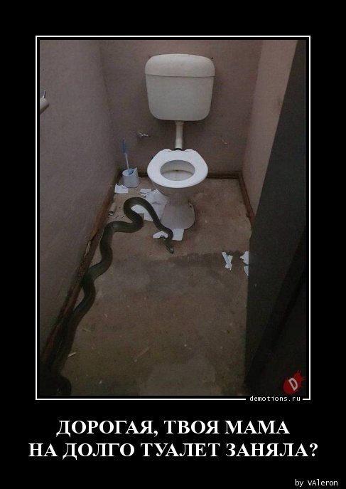 A cause de quoi il est interdit de s'asseoir longtemps sur les toilettes: comment