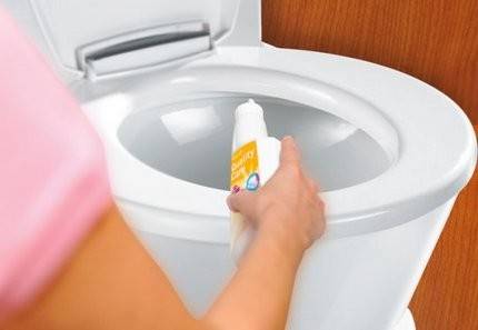 Comment nettoyer les toilettes soi-même : les meilleurs moyens d'éliminer les blocages