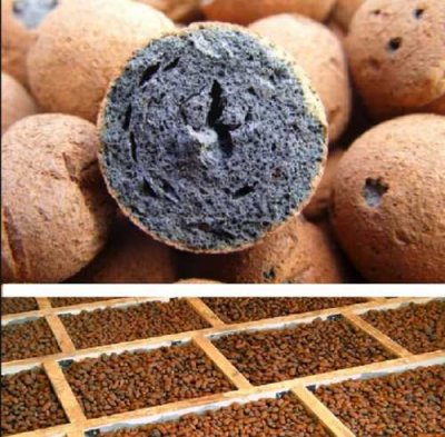 Types et choix d'isolation pour les murs de la maison à l'extérieur