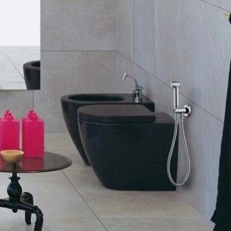 Accessoire de bidet pour les toilettes: un aperçu des types d'accessoires de bidet et des méthodes d'installation