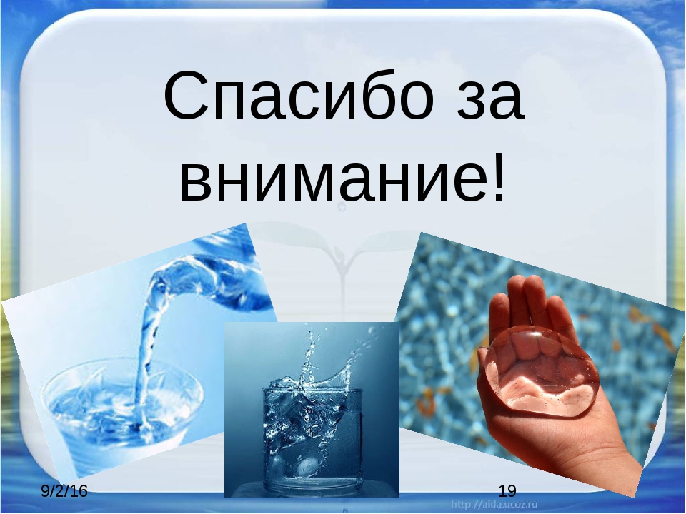 Écologie pour les enfants