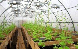 Chauffage direct et indirect du pistolet thermique diesel: appareil, principe de fonctionnement + aperçu des fabricants