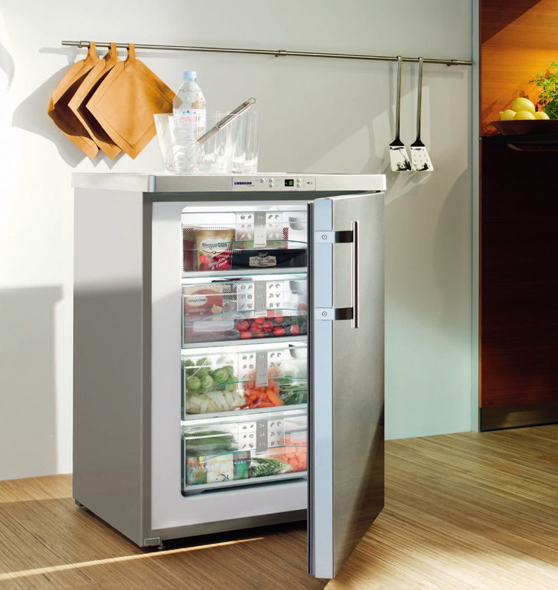 Réfrigérateurs encastrables : comment choisir et installer correctement + TOP-15 meilleurs modèles