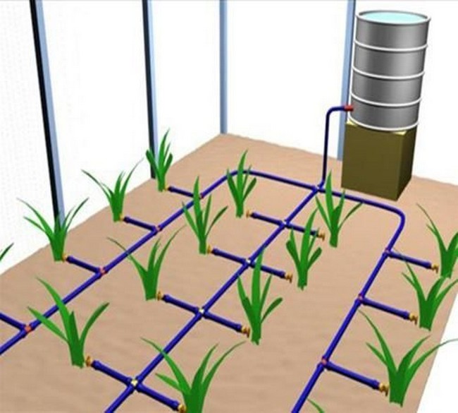 Tuyau pour irrigation goutte à goutte: sur quoi se concentrer lors du choix + règles pour travailler avec