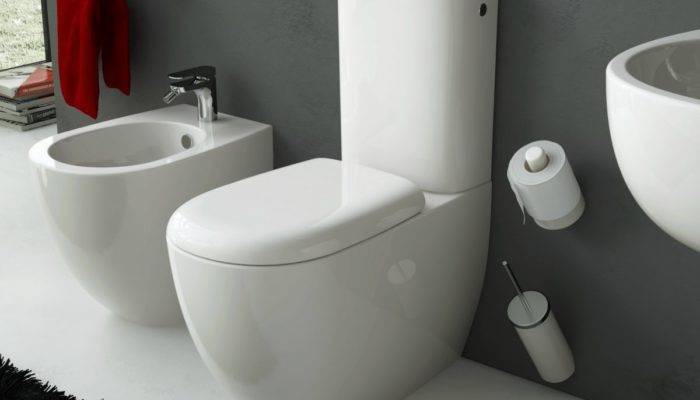 Que faire si les toilettes sont bouchées : comment diagnostiquer un blocage et y remédier