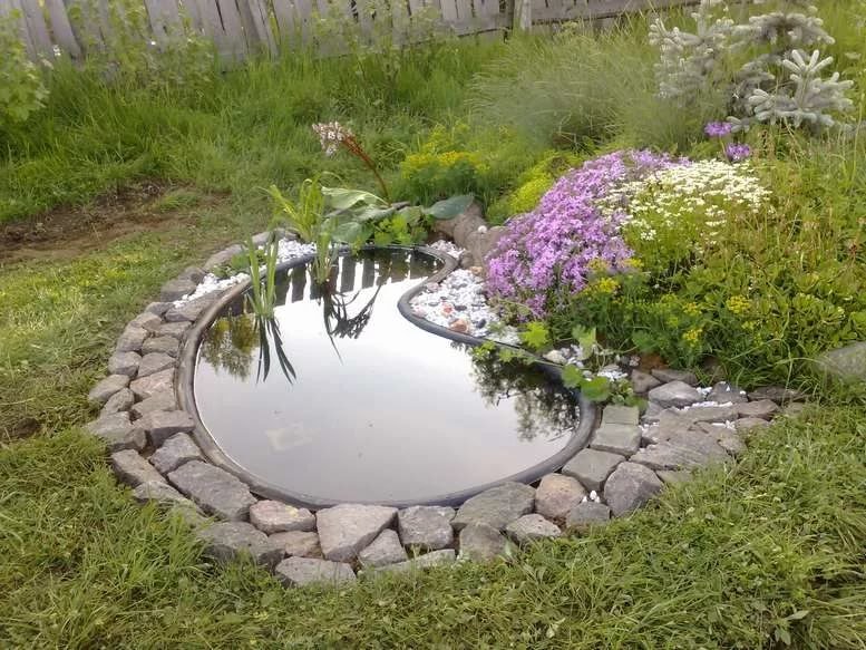 Étang à faire soi-même à la campagne - instructions étape par étape!